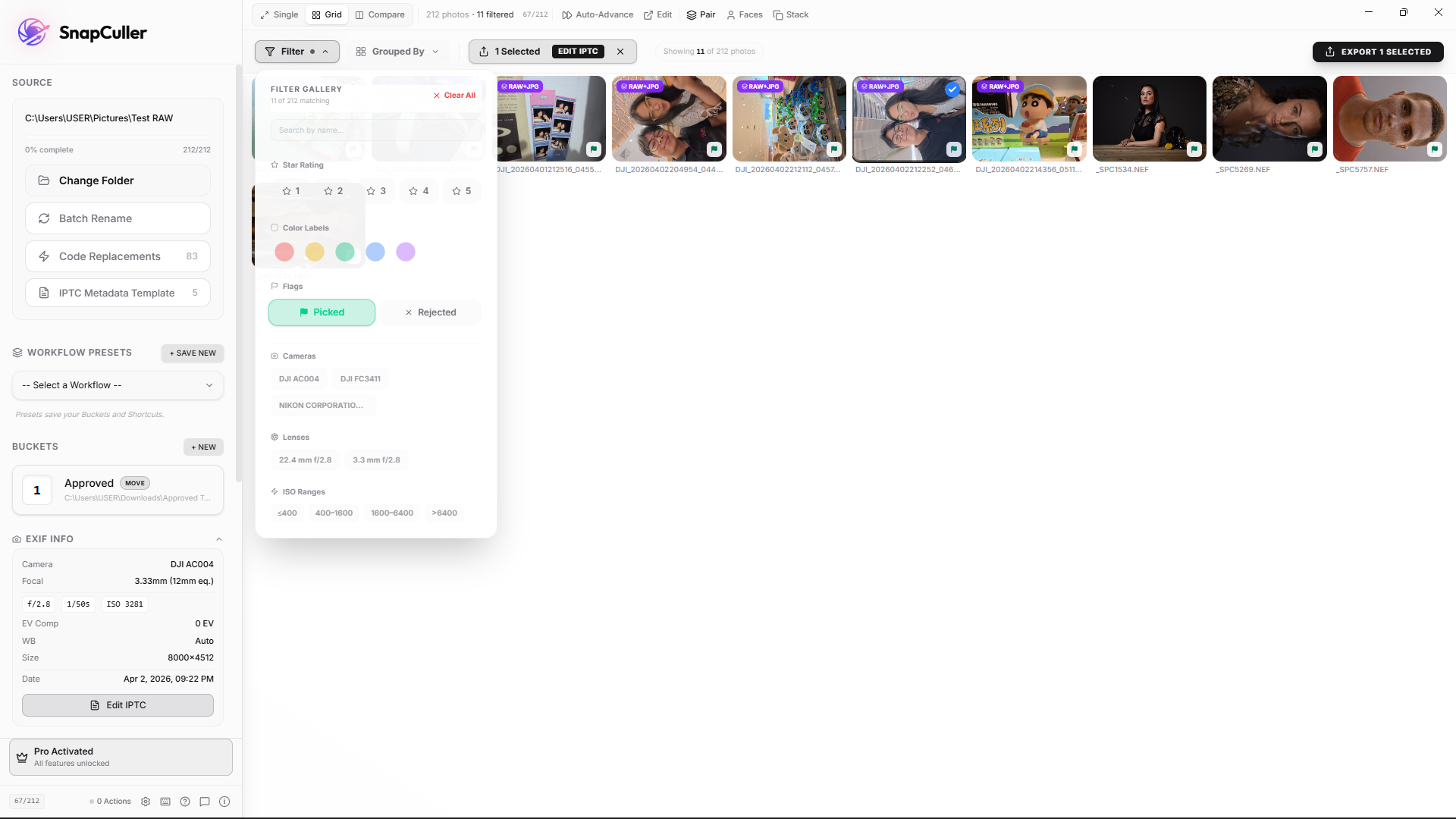 Filter panel showing only Picked flags in Grid View